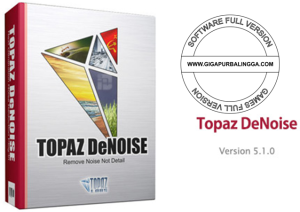 topaz-denoise-v5-1-0-full-keygen-300x212-5905010