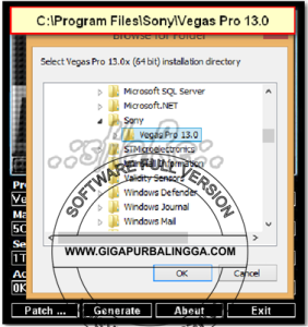 cara-instal-sony-vegas-pro-13-282x300-1034463
