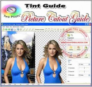 picture-cutout-guide-full-version-300x282-9548222