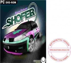shofer-race-driver-300x264-1647855