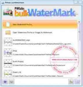 bulkwatermark-full-287x300-4337687