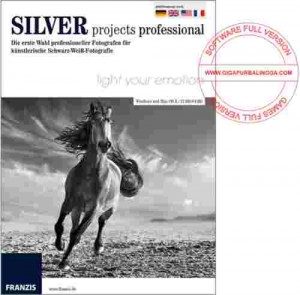 franzis-silver-projects-professional-full-300x295-7889175