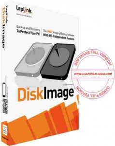 laplink-diskimage-professional-full-238x300-9102199