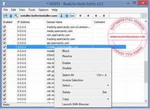 bluelife-hosts-editor-terbaru1-300x219-6007258