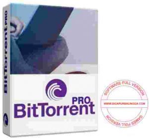 bittorrent-pro-full-300x277-4438899