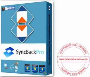 syncbackpro-full-300x254-8554867
