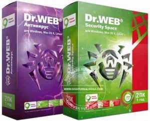 dr-web-security-space-full-serial-300x242-6033219