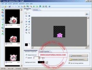 easy-gif-animator-pro-full1-300x231-2511608