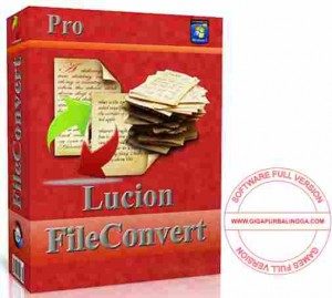 lucion-fileconvert-pro-full-300x269-6381394