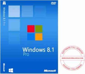 windows-8-1-professional-juli-2016-300x260-5280125