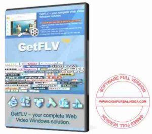 GetFLV Pro 30.2307.13.0 download the new version for ios