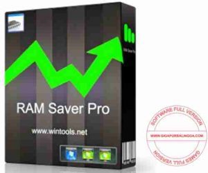 download RAM Saver Professional 23.7 free