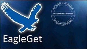 eagleget-2-0-2-8-offline-installer-300x170-1348643