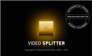 solveigmm-video-splitter-5-0-1505-19-business-edition-full-serial1-300x183-7048687