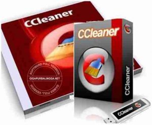 Download ccleaner free bagas31 download chrome windows server 2012