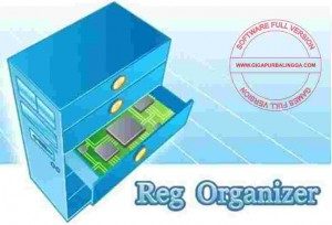reg-organizer-full-version-300x204-5665387