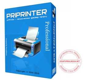 priprinter-professional-6-6-0-2491-full-version-5955855