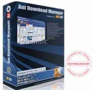 ant-download-manager-pro-full-patch-300x290-7184784