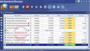 ant-download-manager-pro-full-patch1-300x172-1586416