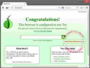 tor-browser-terbaru-300x225-4716468