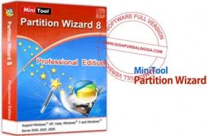 minitool-partition-wizard-professional-edition-v8-1-1-full-version-300x197-7978216