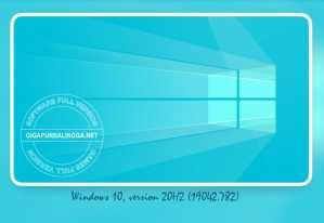 windows-10-pro-20h2-19042-782-aio-januari-2021-3261324